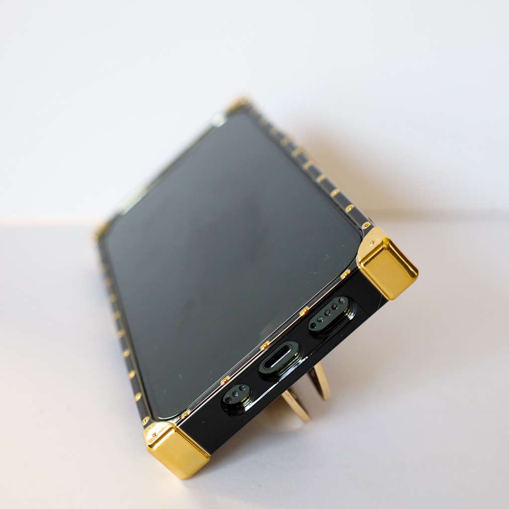 Louis Vuitton Trunk iPhone Case for 1116 Pro Max Plus Series